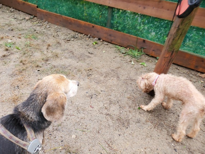 f:id:roukenhome-ann:20191013185606j:plain