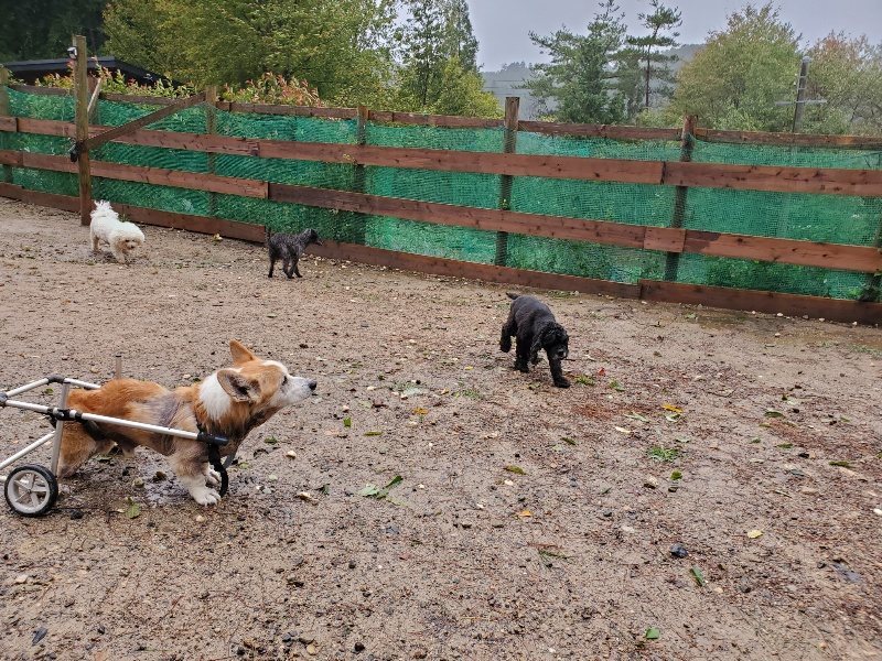 f:id:roukenhome-ann:20191013185859j:plain