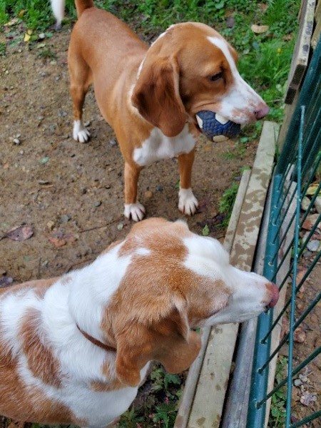 f:id:roukenhome-ann:20191014051635j:plain