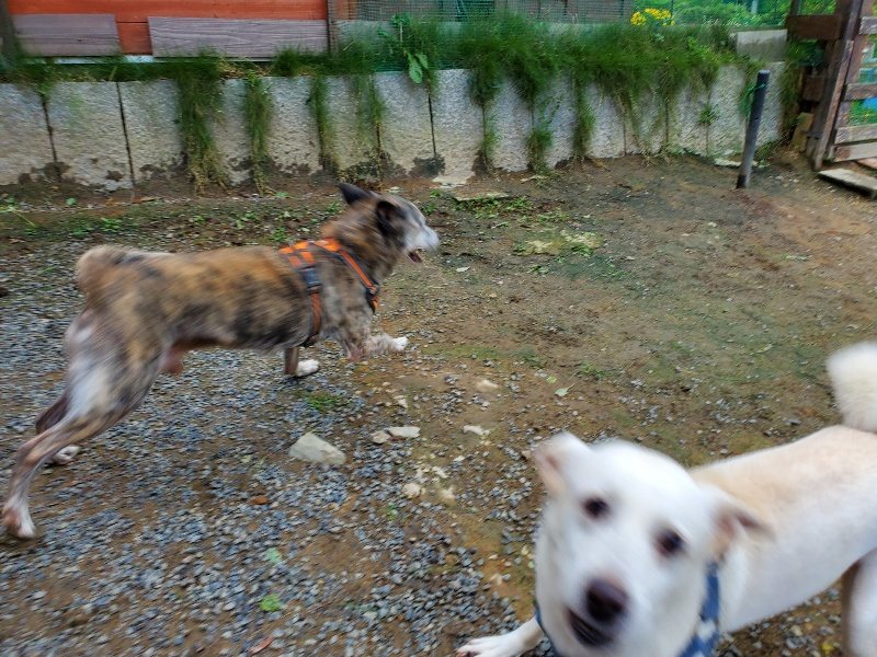 f:id:roukenhome-ann:20191014052800j:plain