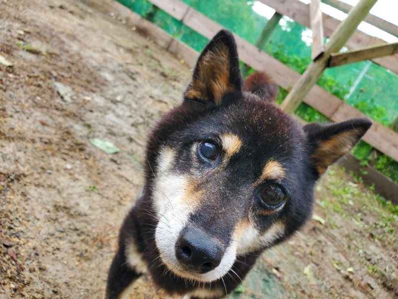 f:id:roukenhome-ann:20191014064047j:plain