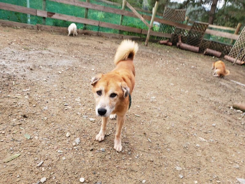 f:id:roukenhome-ann:20191014064530j:plain