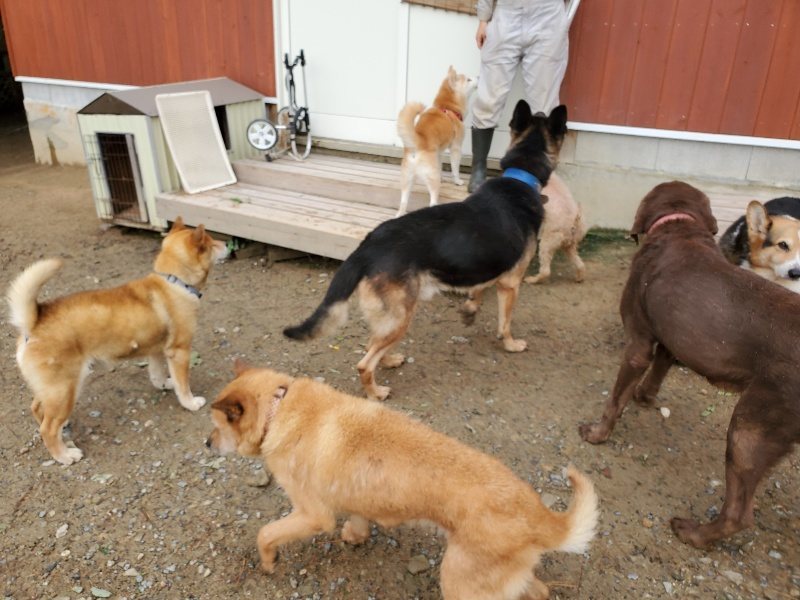 f:id:roukenhome-ann:20191014065404j:plain