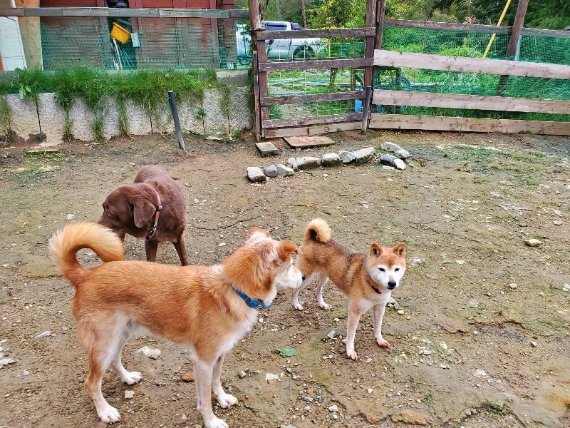 f:id:roukenhome-ann:20191014065701j:plain