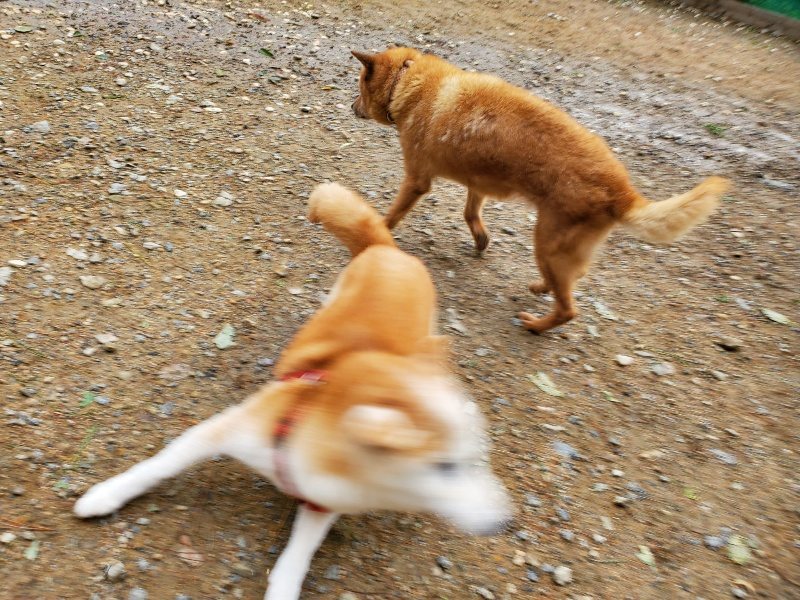 f:id:roukenhome-ann:20191014070025j:plain