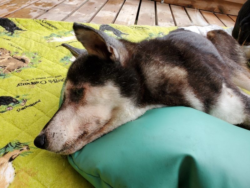f:id:roukenhome-ann:20191014113729j:plain