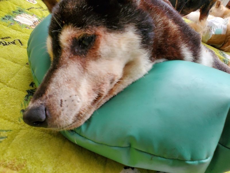 f:id:roukenhome-ann:20191014113742j:plain
