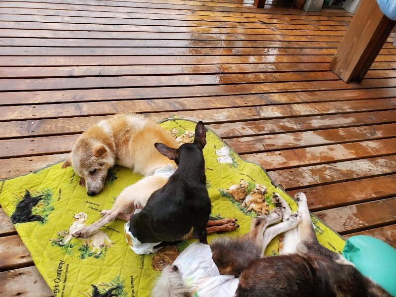 f:id:roukenhome-ann:20191014113753j:plain