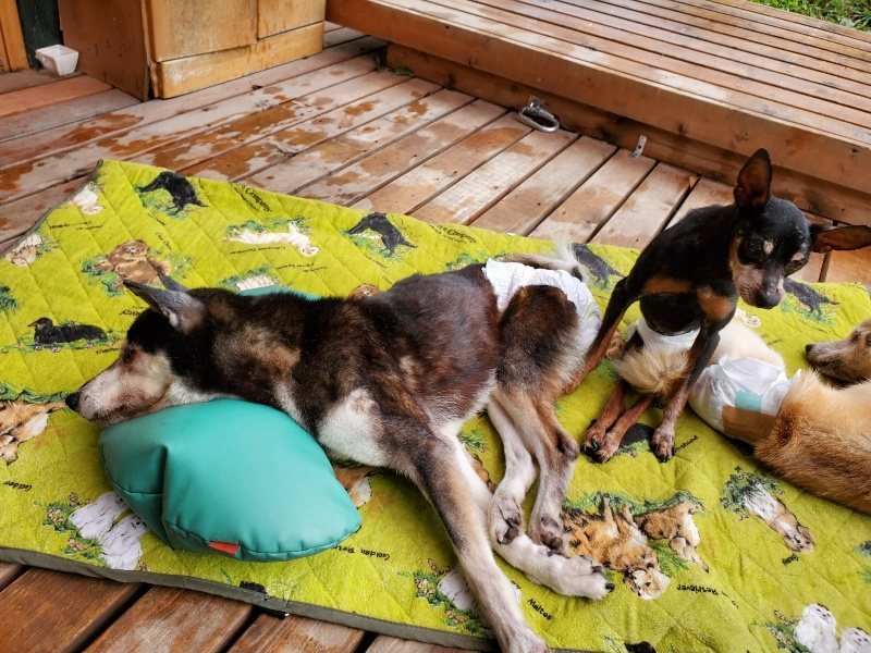 f:id:roukenhome-ann:20191014114015j:plain