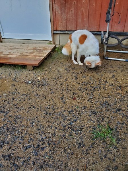 f:id:roukenhome-ann:20191014114431j:plain