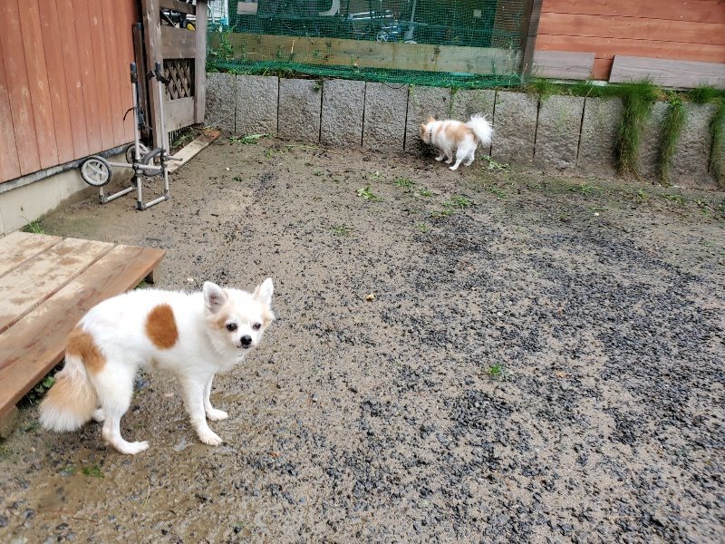 f:id:roukenhome-ann:20191014114452j:plain