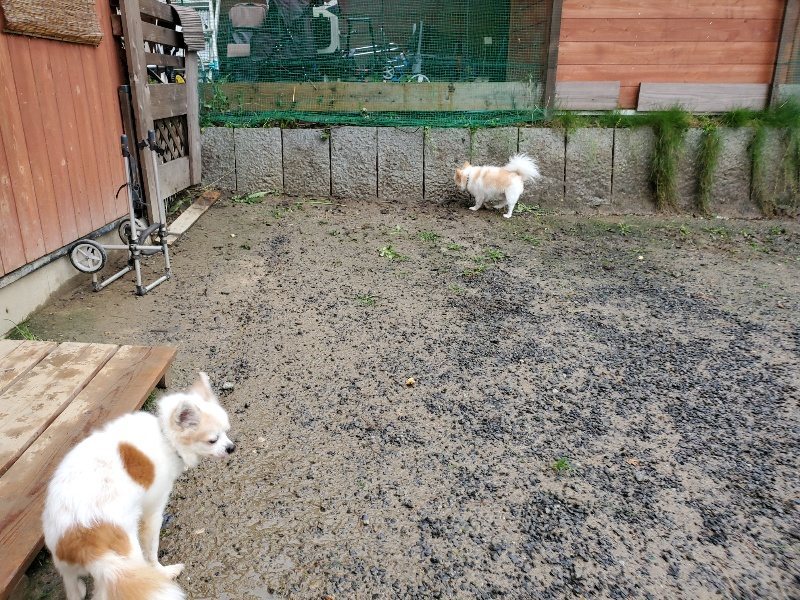 f:id:roukenhome-ann:20191014114515j:plain
