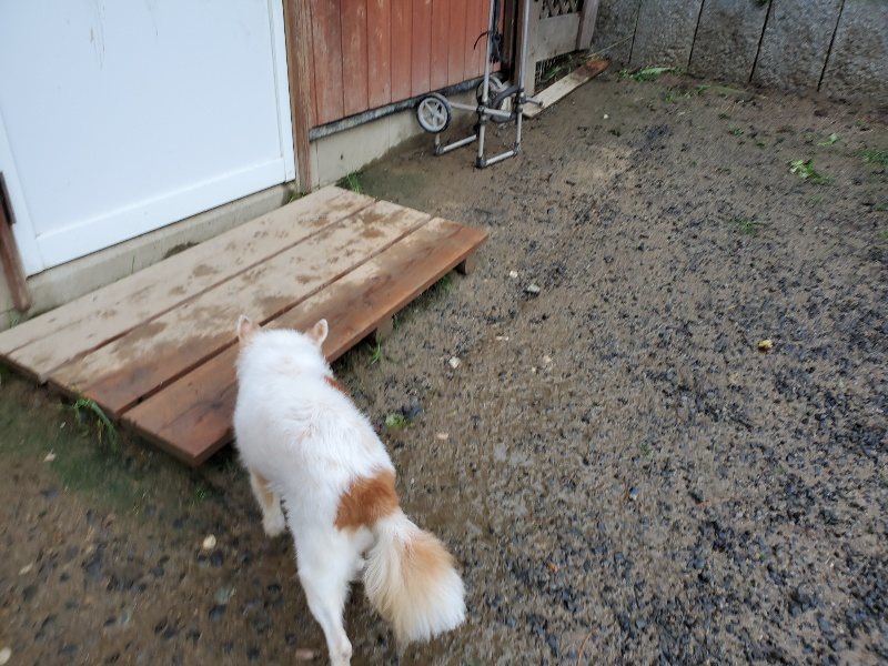 f:id:roukenhome-ann:20191014114520j:plain