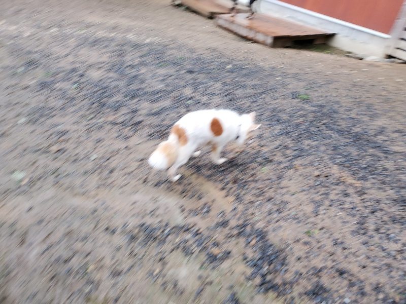 f:id:roukenhome-ann:20191014114533j:plain