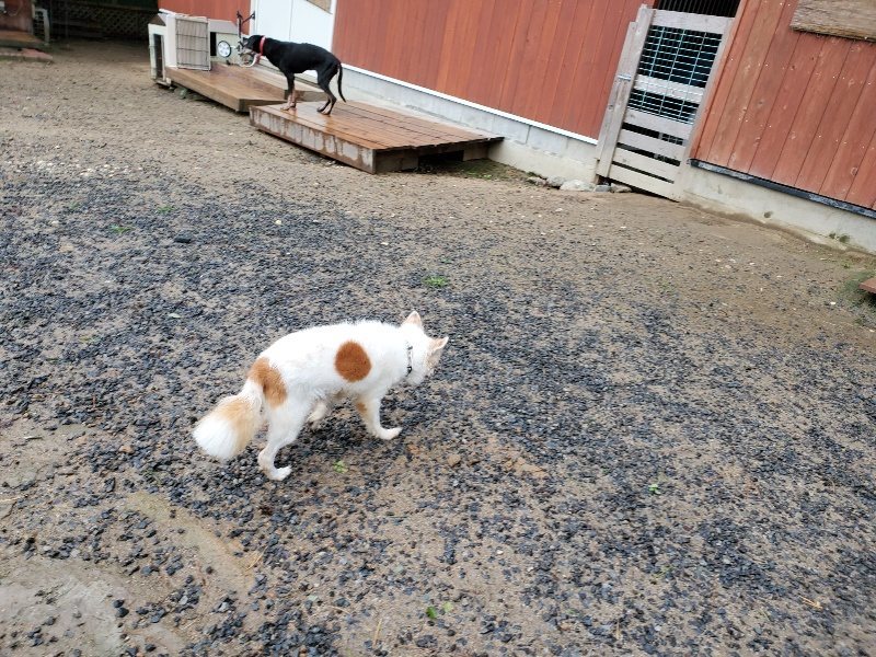 f:id:roukenhome-ann:20191014114553j:plain