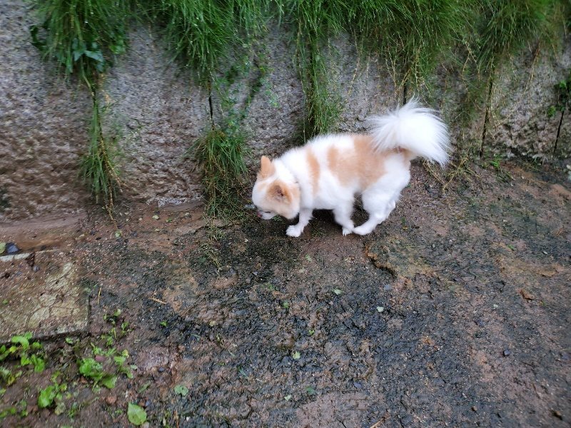 f:id:roukenhome-ann:20191014114605j:plain