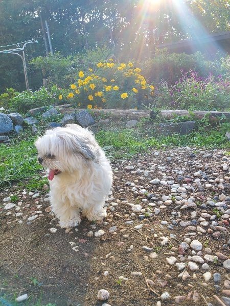 f:id:roukenhome-ann:20191017052255j:plain
