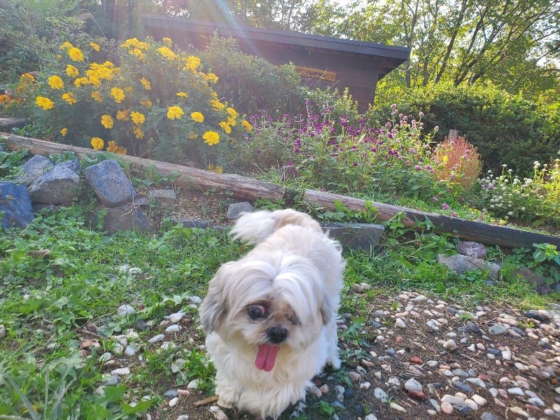 f:id:roukenhome-ann:20191017052307j:plain
