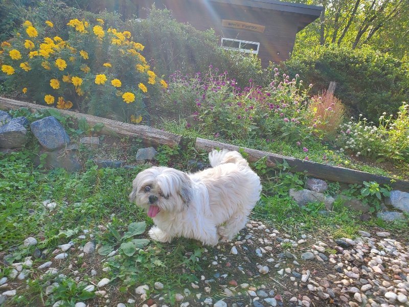 f:id:roukenhome-ann:20191017052315j:plain