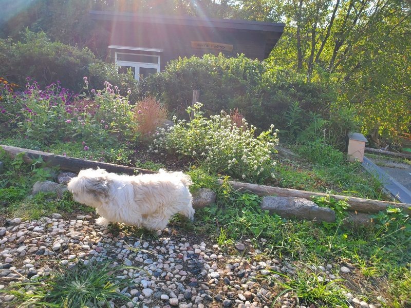 f:id:roukenhome-ann:20191017052320j:plain