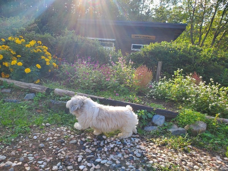 f:id:roukenhome-ann:20191017052327j:plain