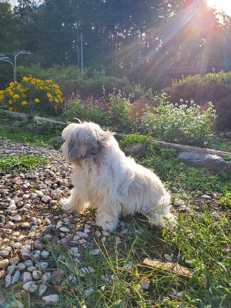 f:id:roukenhome-ann:20191017052331j:plain
