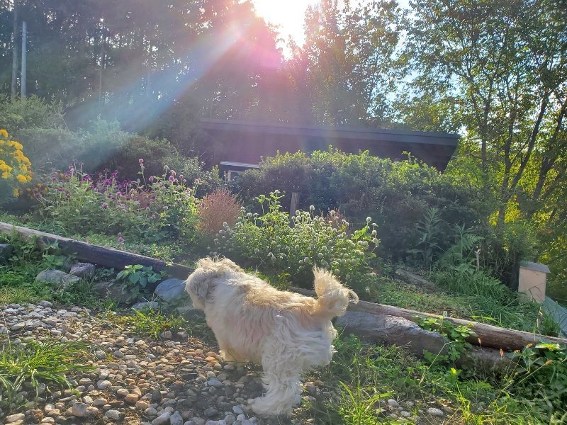 f:id:roukenhome-ann:20191017052341j:plain