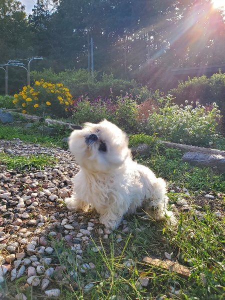 f:id:roukenhome-ann:20191017052346j:plain
