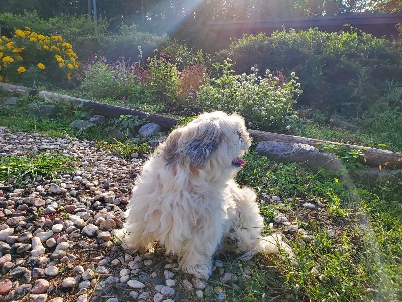 f:id:roukenhome-ann:20191017052352j:plain