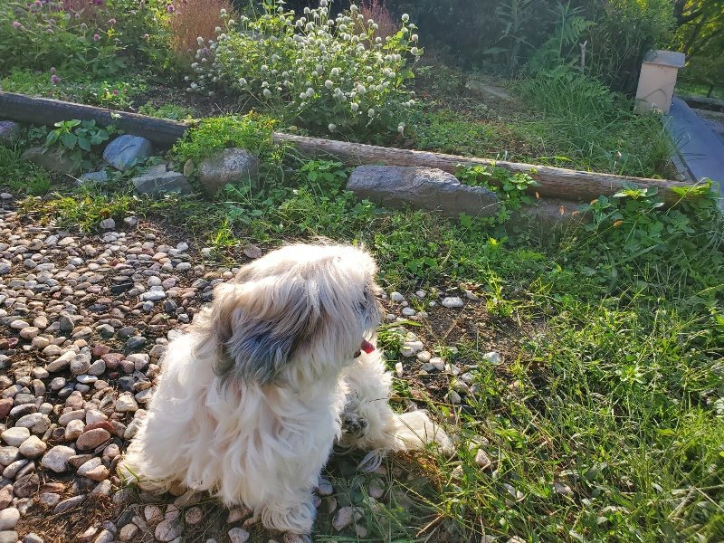 f:id:roukenhome-ann:20191017052359j:plain