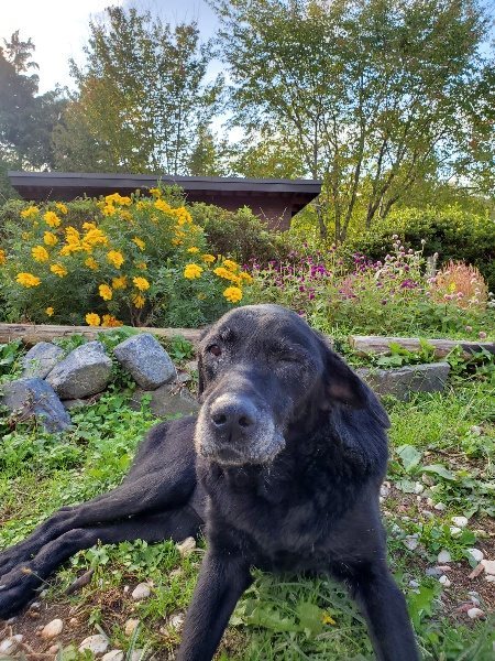 f:id:roukenhome-ann:20191017052411j:plain