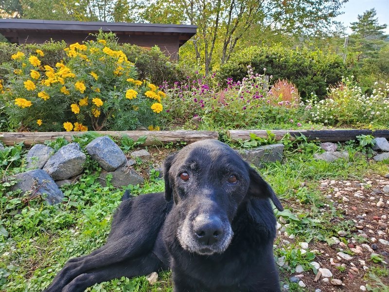 f:id:roukenhome-ann:20191017052428j:plain