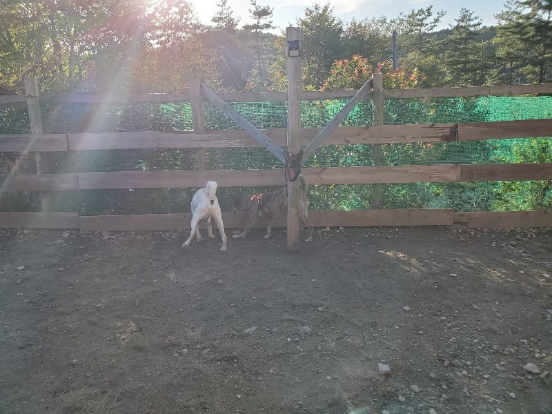 f:id:roukenhome-ann:20191017052638j:plain