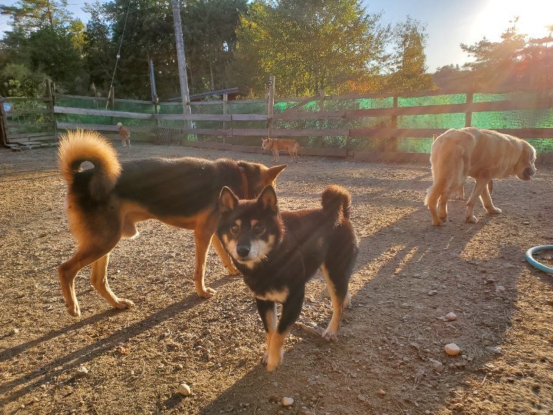 f:id:roukenhome-ann:20191017052800j:plain