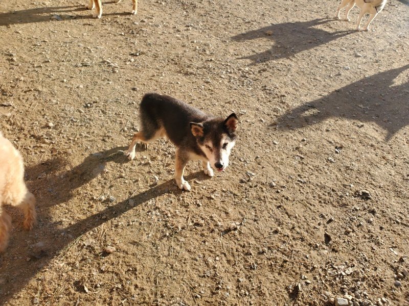 f:id:roukenhome-ann:20191017052941j:plain