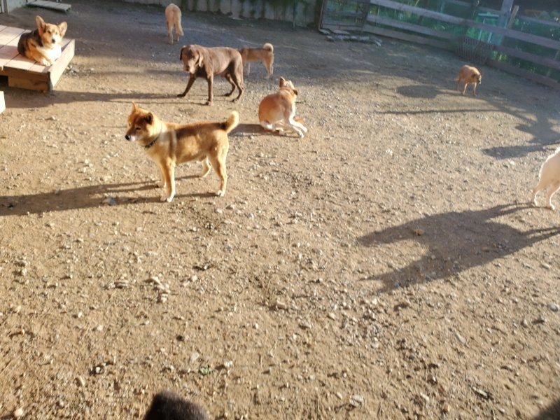 f:id:roukenhome-ann:20191017052946j:plain