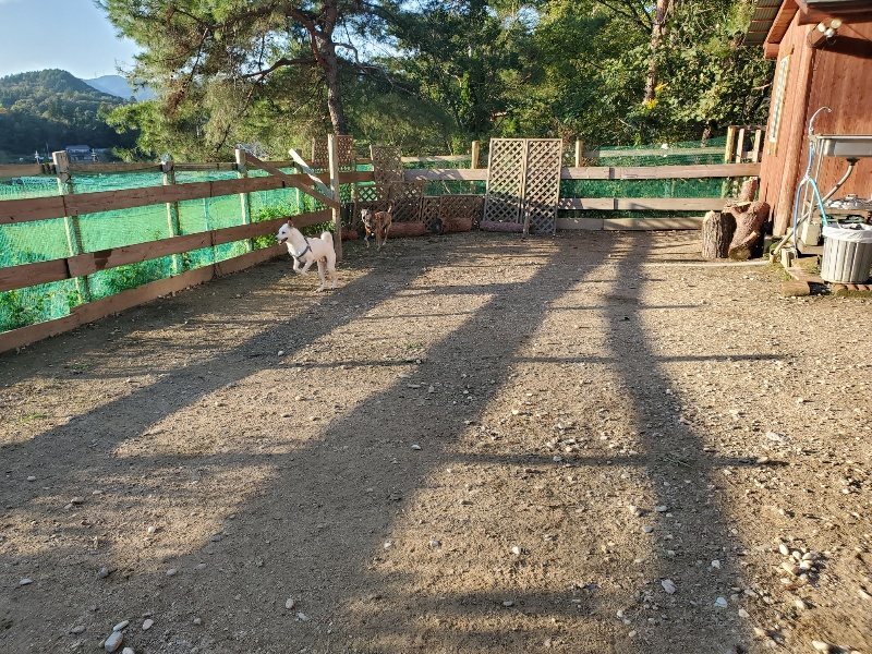 f:id:roukenhome-ann:20191017053022j:plain