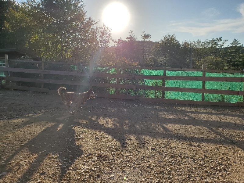 f:id:roukenhome-ann:20191017053037j:plain