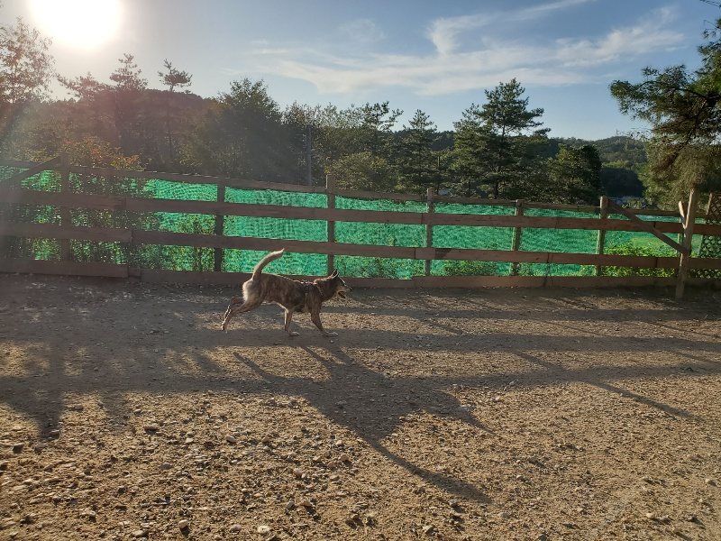 f:id:roukenhome-ann:20191017053046j:plain
