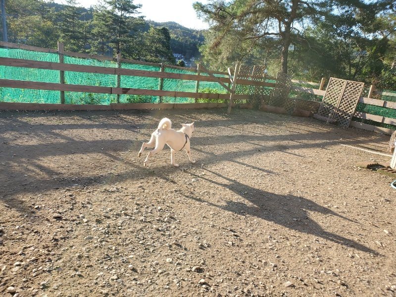 f:id:roukenhome-ann:20191017053055j:plain