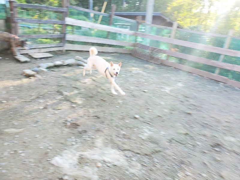 f:id:roukenhome-ann:20191017053100j:plain