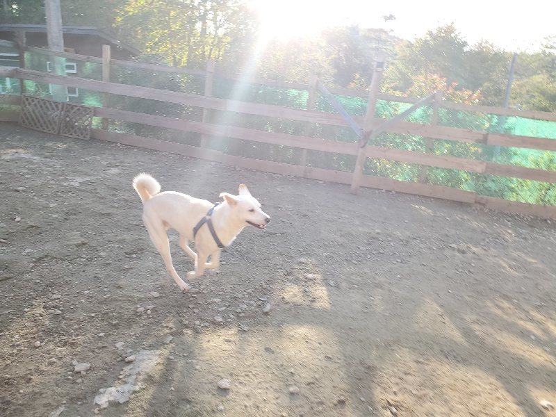 f:id:roukenhome-ann:20191017053106j:plain