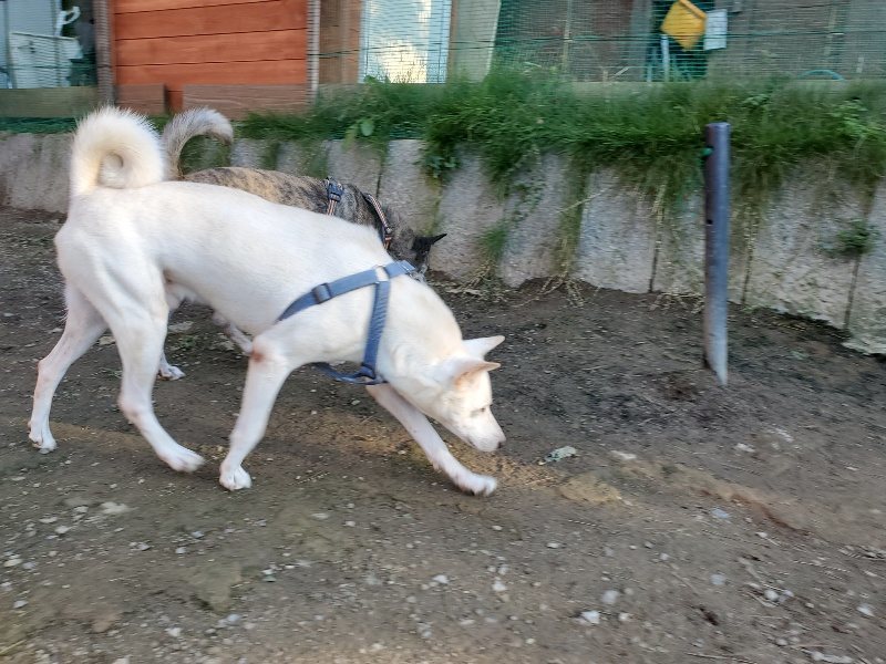 f:id:roukenhome-ann:20191017053111j:plain