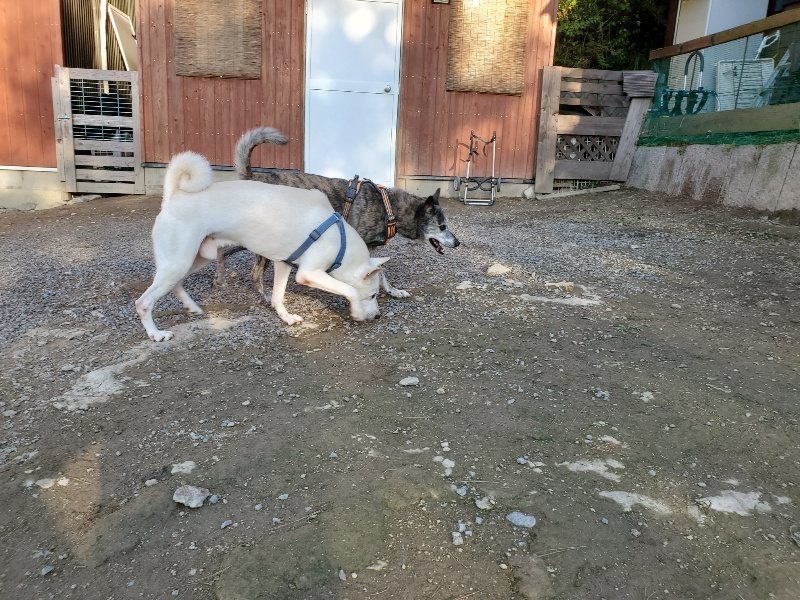 f:id:roukenhome-ann:20191017053122j:plain
