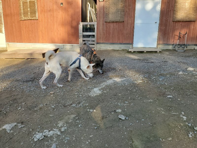f:id:roukenhome-ann:20191017053143j:plain