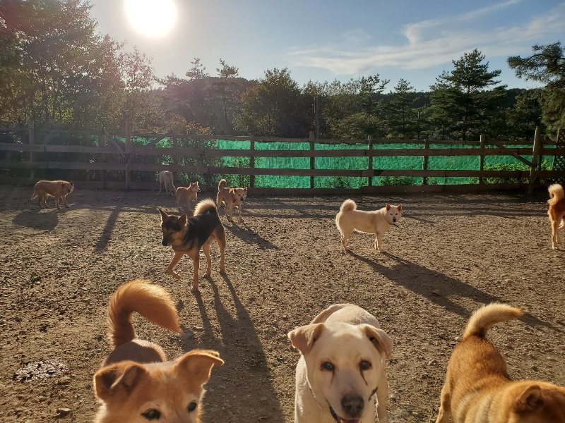 f:id:roukenhome-ann:20191017053200j:plain