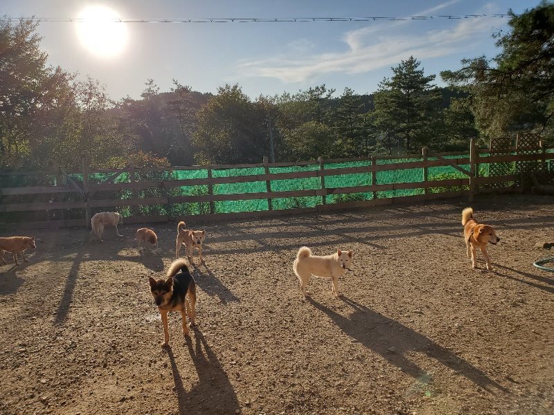 f:id:roukenhome-ann:20191017053209j:plain