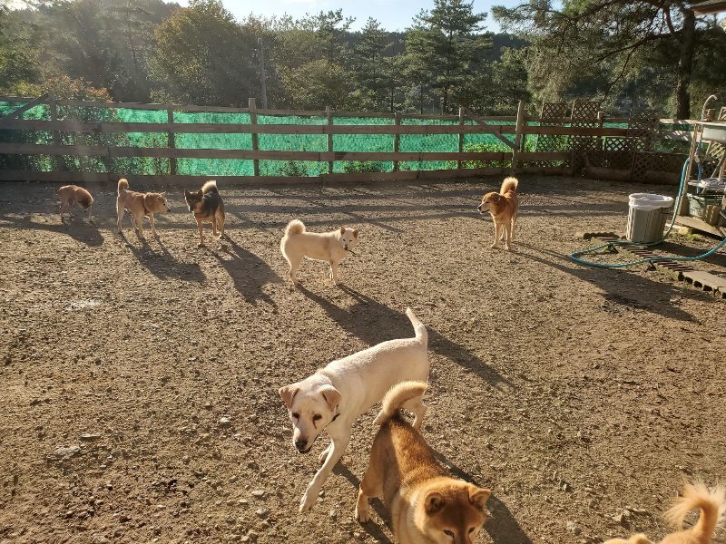 f:id:roukenhome-ann:20191017053217j:plain