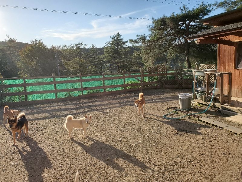 f:id:roukenhome-ann:20191017053225j:plain