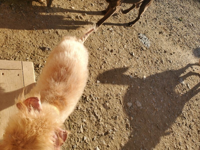 f:id:roukenhome-ann:20191017053247j:plain